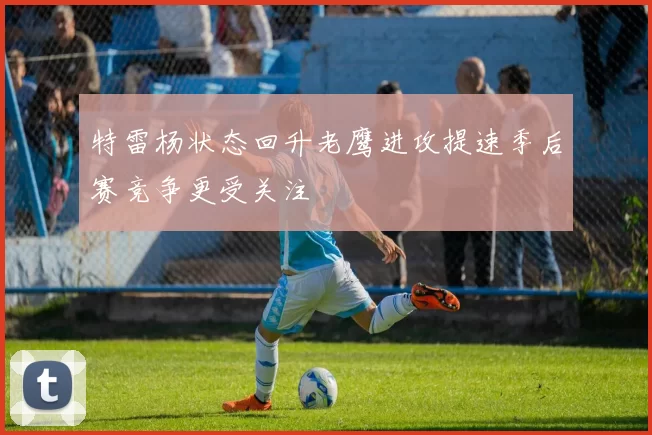 特雷杨状态回升老鹰进攻提速季后赛竞争更受关注